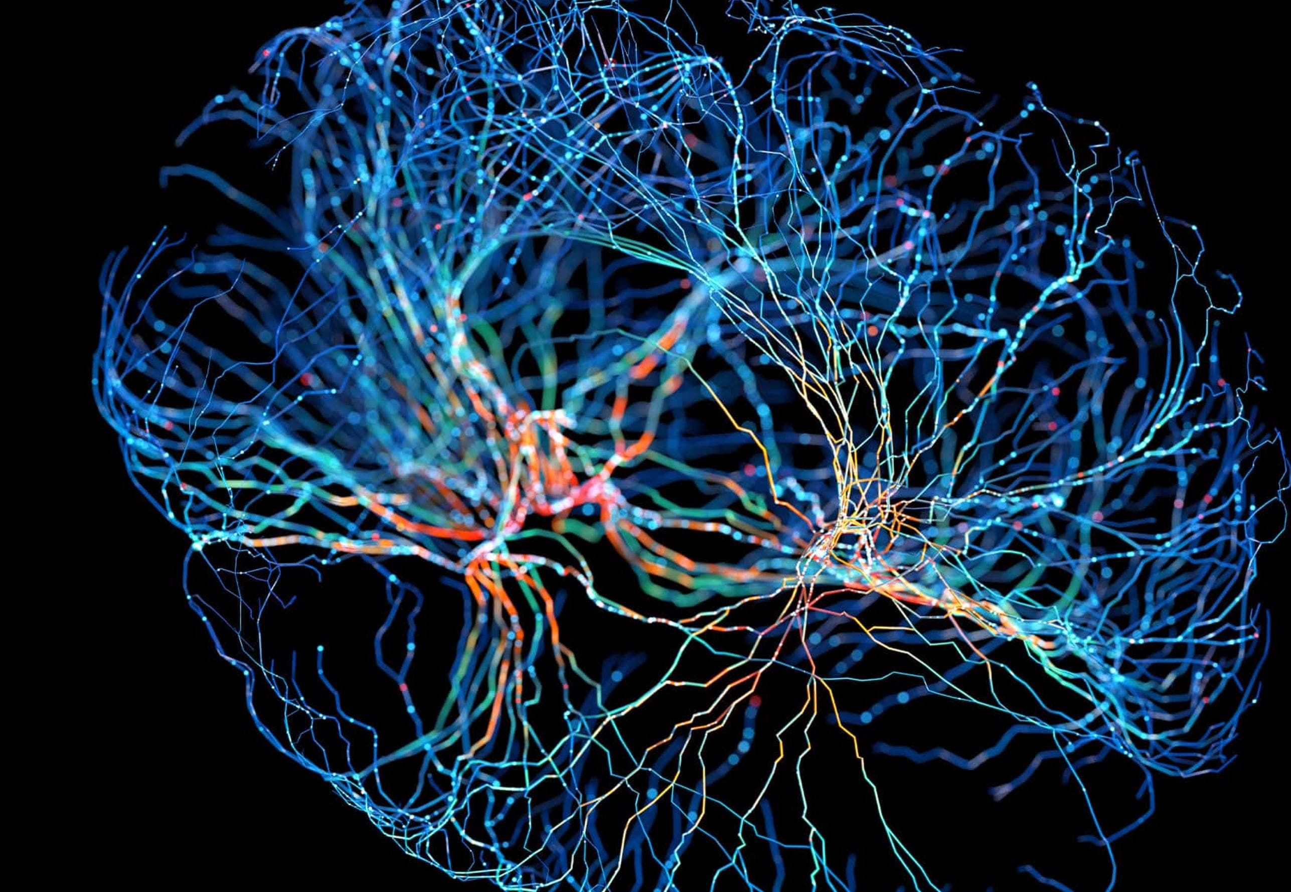 Neuroplasticity: You Become What You Repeat