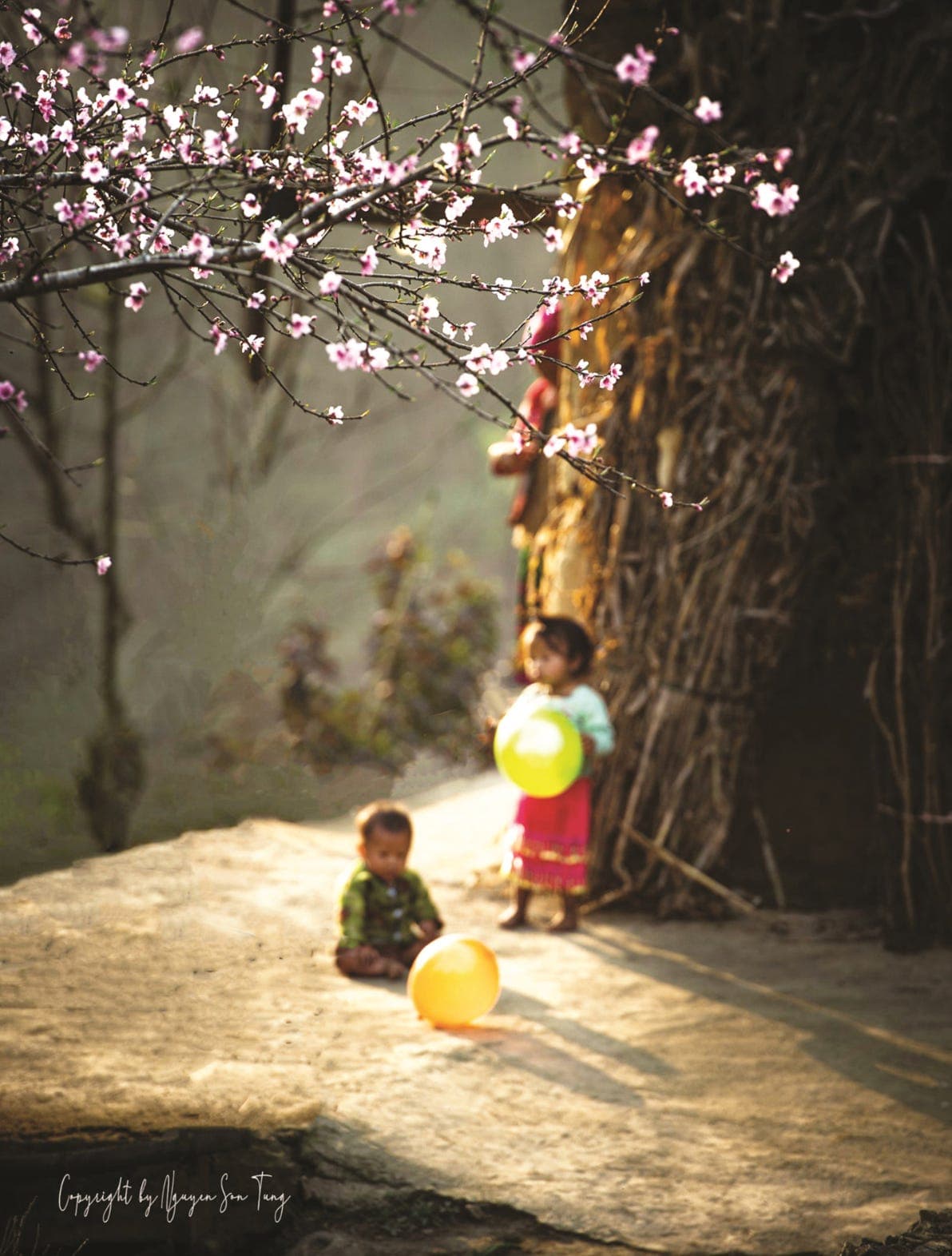 Bạn có sợ Tết không?